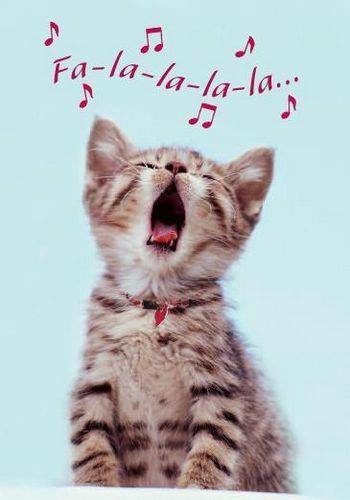 cat-sing